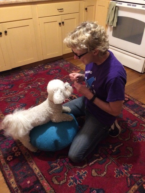 PASSION and PRESSURE: Are you empowering or overpowering your dog?