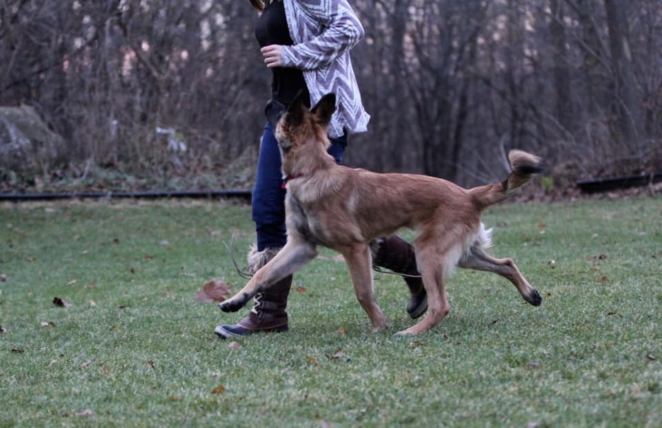 Two Left Feet: An Alternative Approach to Footwork When Heeling