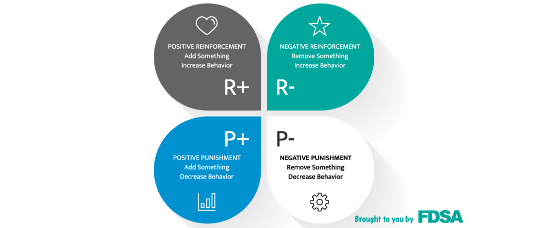 How it Works: Operant Conditioning and Classical Conditioning Explained