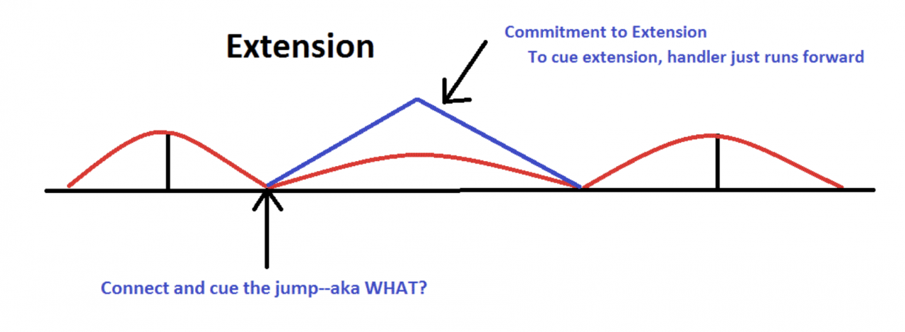 Cuing Turns in Agility