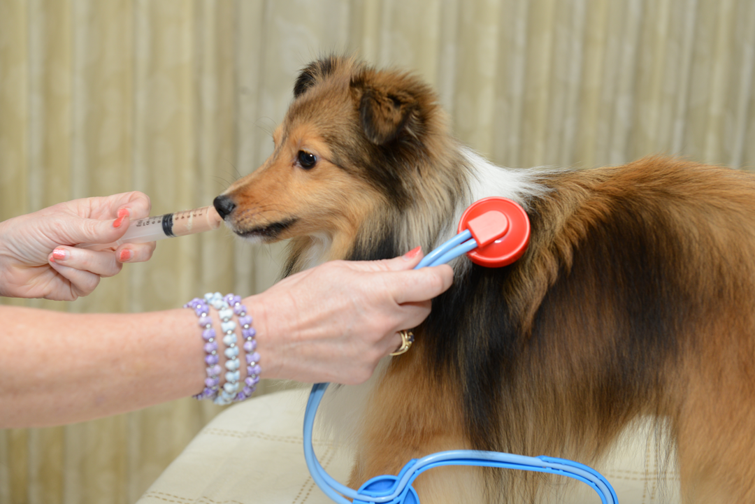 The Cooperative Care Certificate Program is Here!