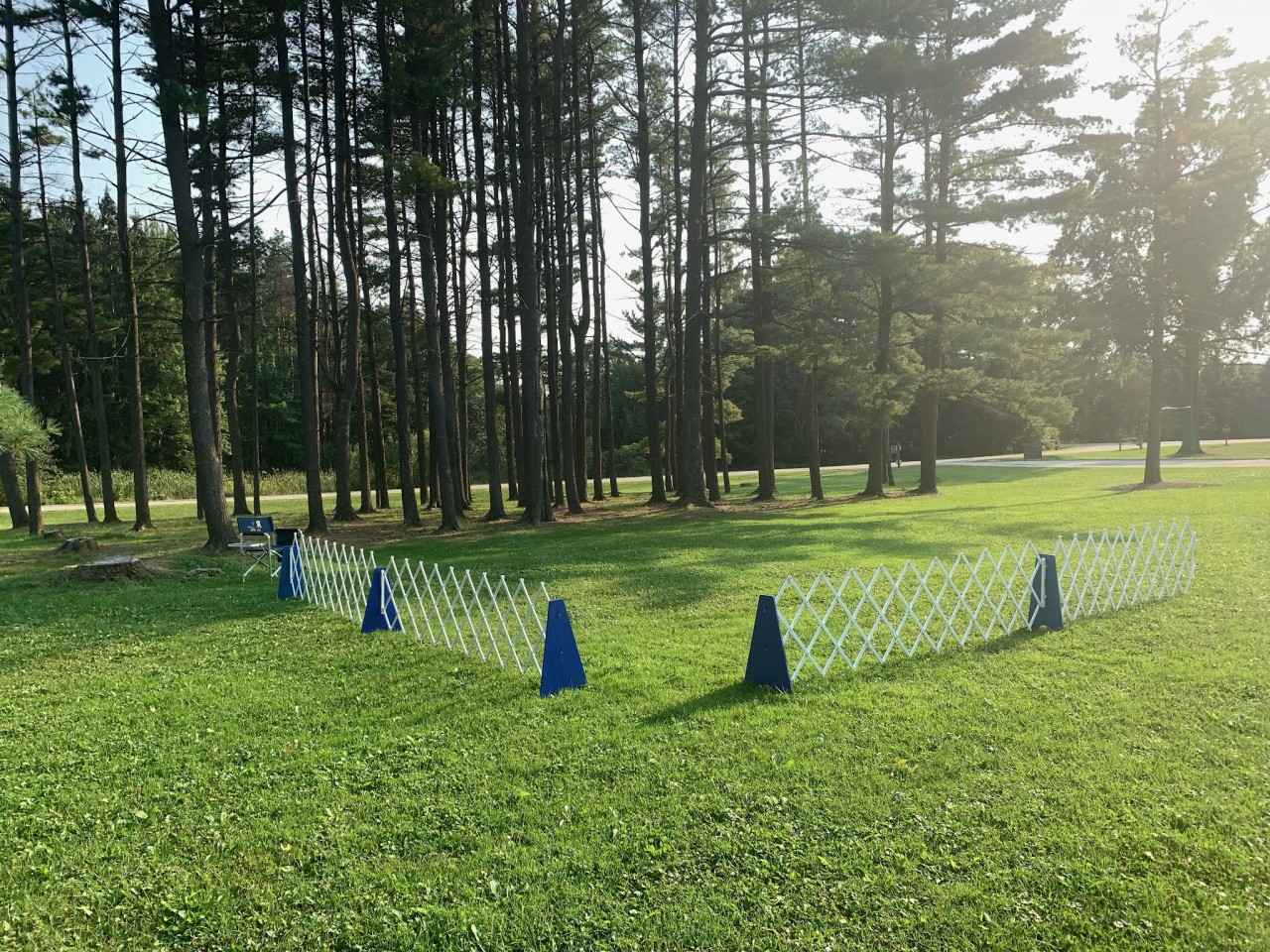 Competition Dog Sport Trial Prep: Does Generalization Really Matter?