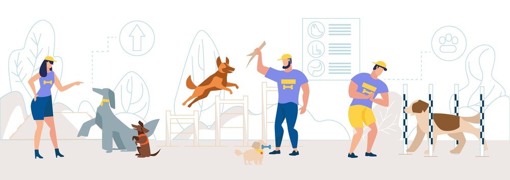 Effective coaching for dog sports