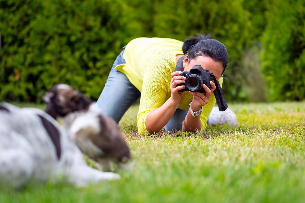 What camera should I buy for Shoot the Dog?