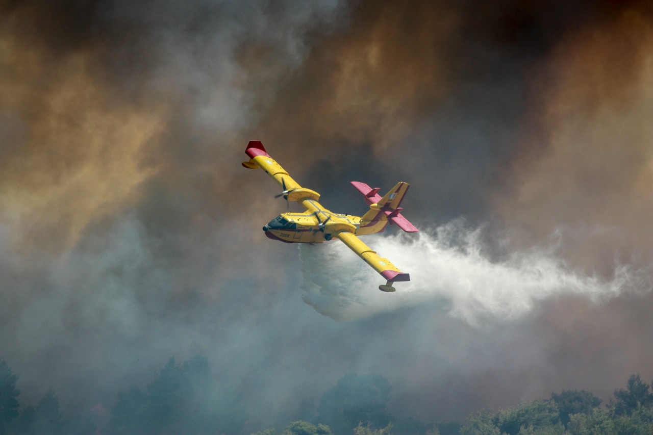 Lessons Forged in the Palisades Fire of January 2025