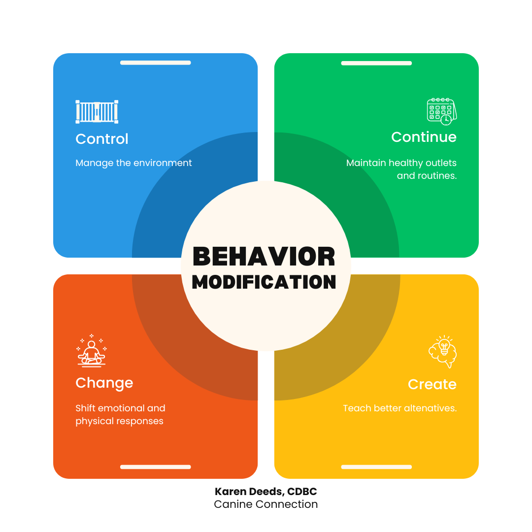 “C” the Process of Behavior Modification